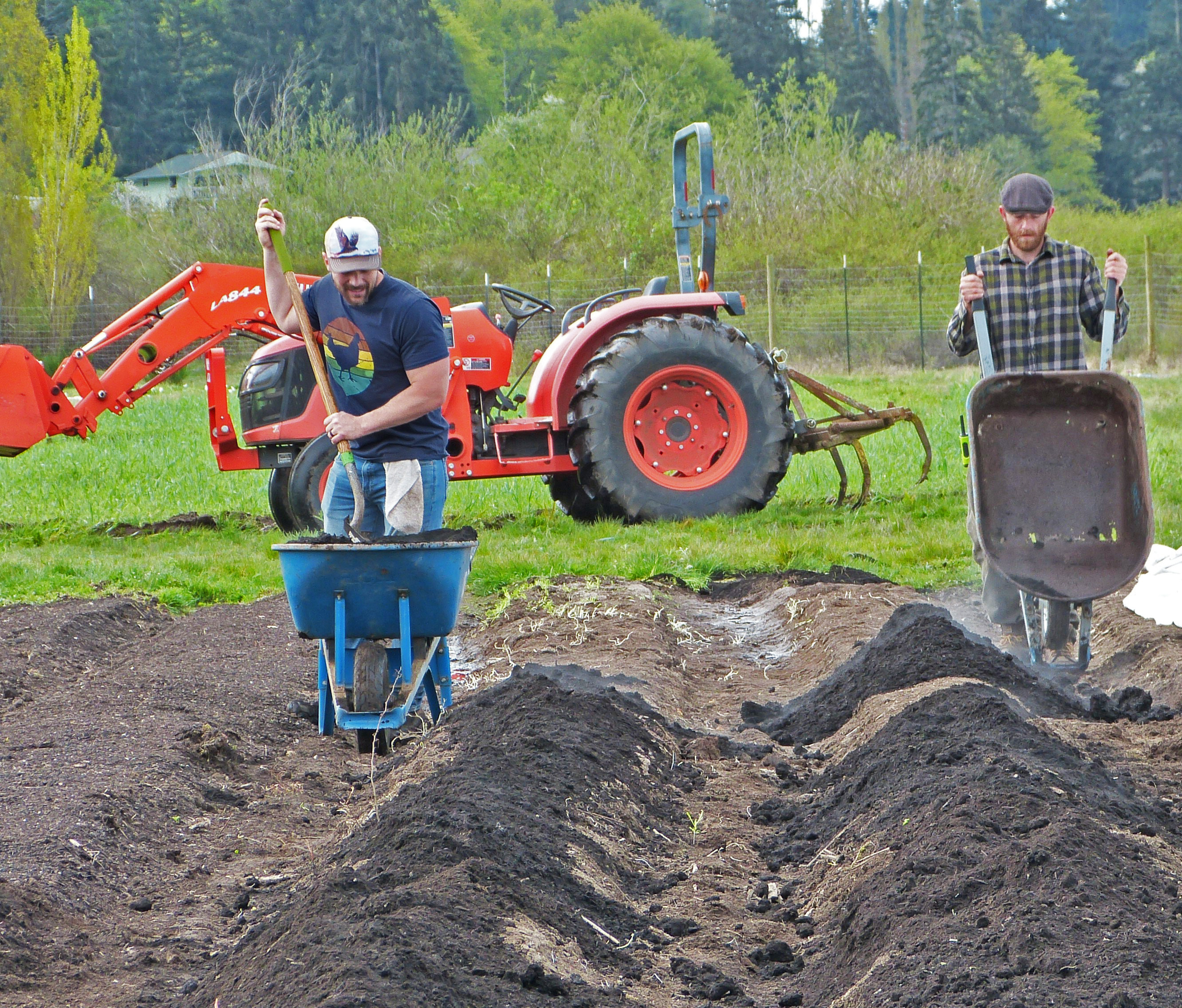 New Trainee (Josh Christopher) and Field Assistant (Dalton Lischalk) measure out compost from Cedar Grove onto beds scheduled for planting. Because farms distribute their produce off-site, they can’t be a “closed loop system” - but by sourcing compost that has been made from food and yard waste in neighboring King County, the Organic Farm School gets closer to that goal. New Trainee (Josh Christopher) and Field Assistant (Dalton Lischalk) measure out compost from Cedar Grove onto beds scheduled for planting. Because farms distribute their produce off-site, they can’t be a “closed loop system” - but by sourcing compost that has been made from food and yard waste in neighboring King County, the Organic Farm School gets closer to that goal.