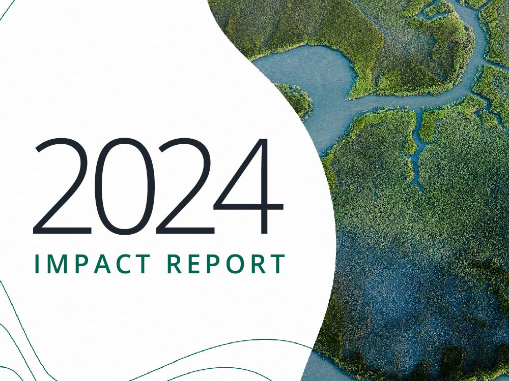 2024 Impact Report Cover