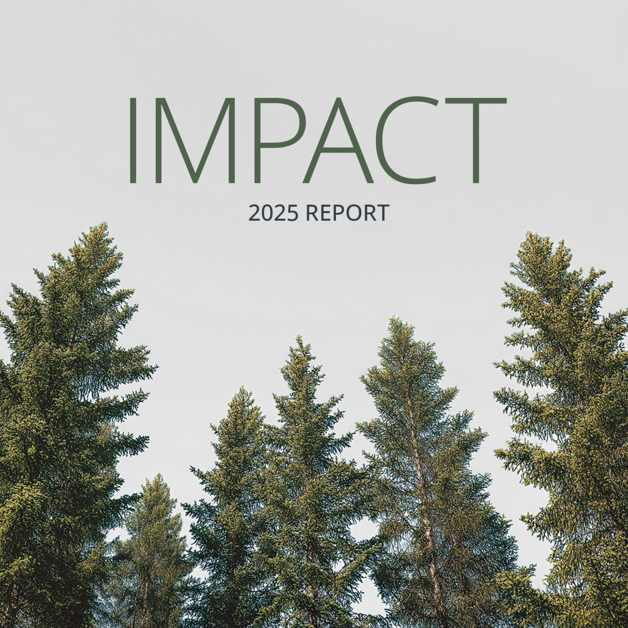 Trees with the words "Impact 2025 Report"