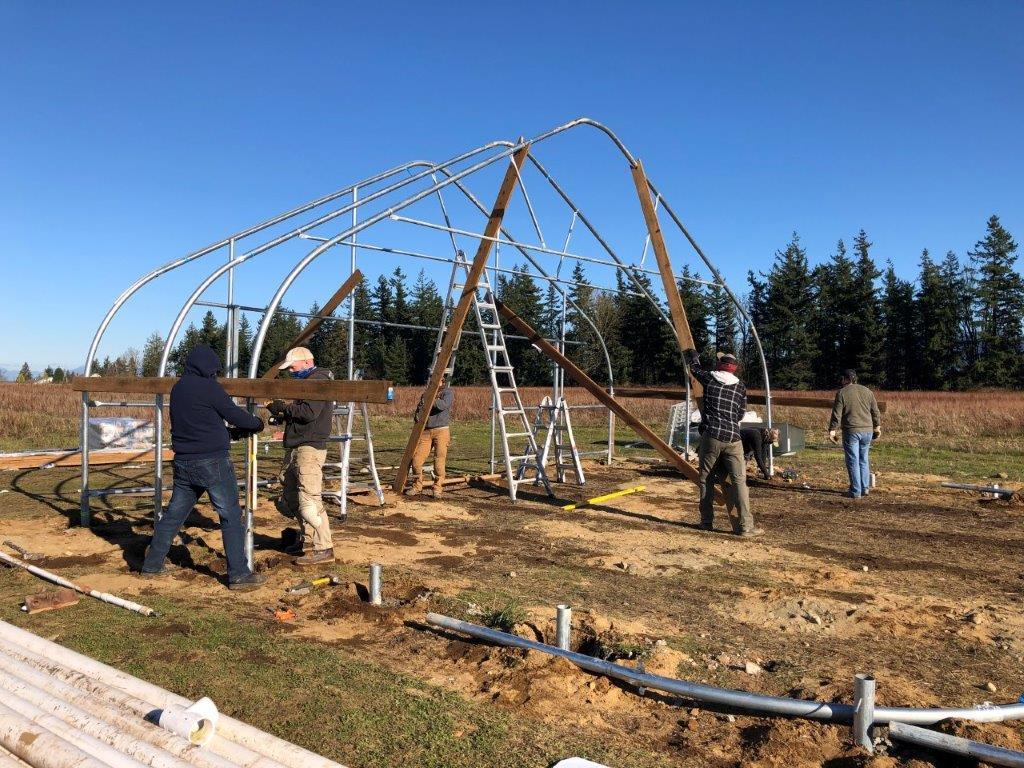 A group of folks raising a framing structure for a greenhouse. Trees are visible in the background.