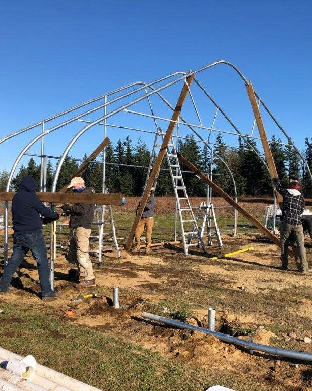 A group of folks raising a framing structure for a greenhouse. Trees are visible in the background.