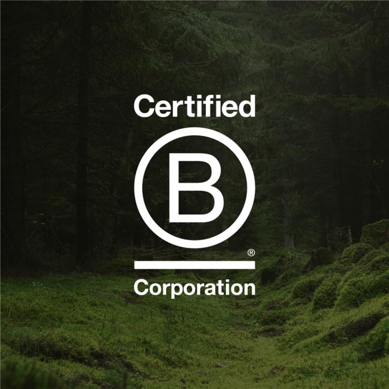 White B Corp Logo on Forest