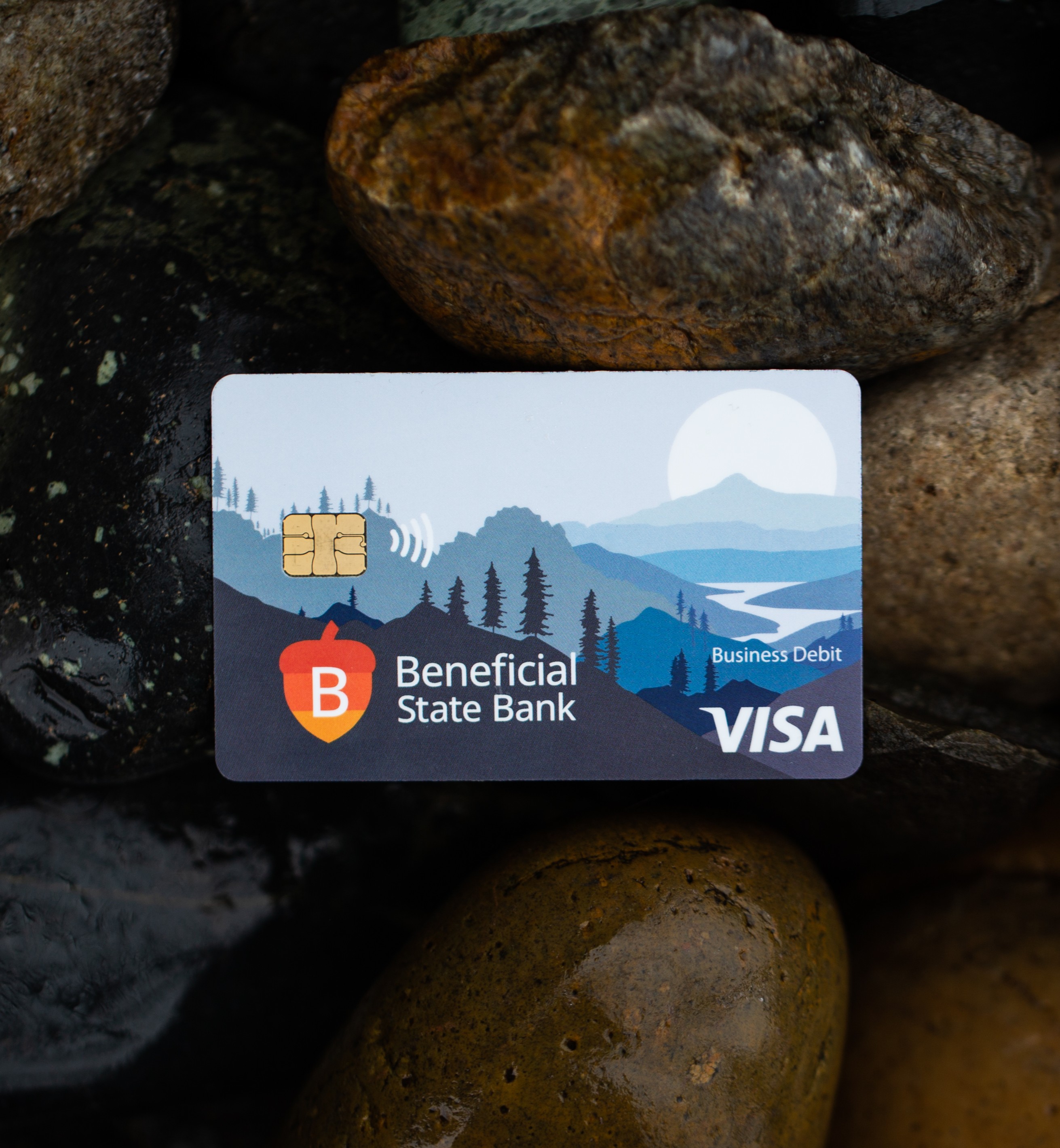 Business Debit Card on Rocks