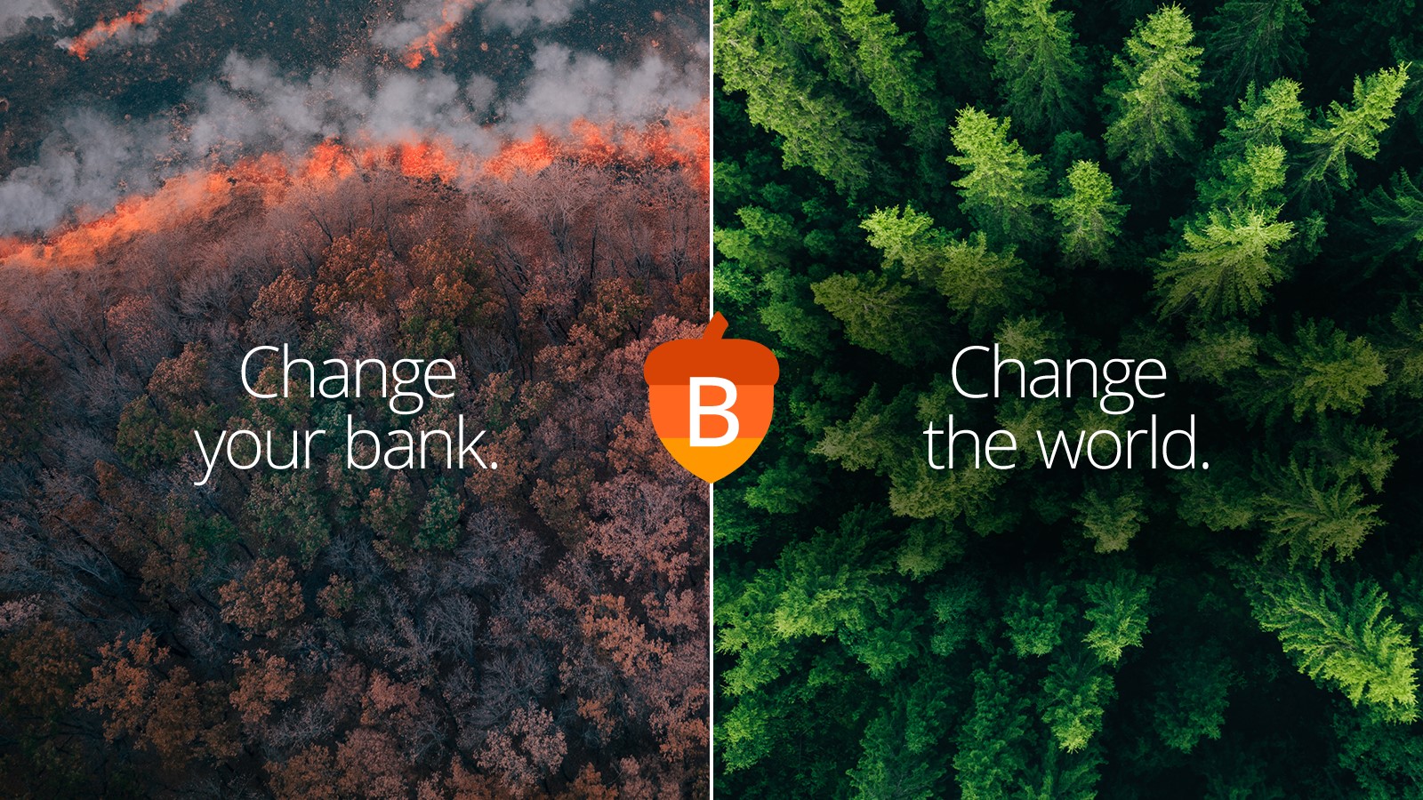 Text "Change your bank. Change the world." on top of two images of forests, one burning and one healthy.