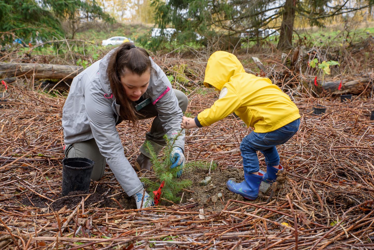 A woman and a toddler plant a tree