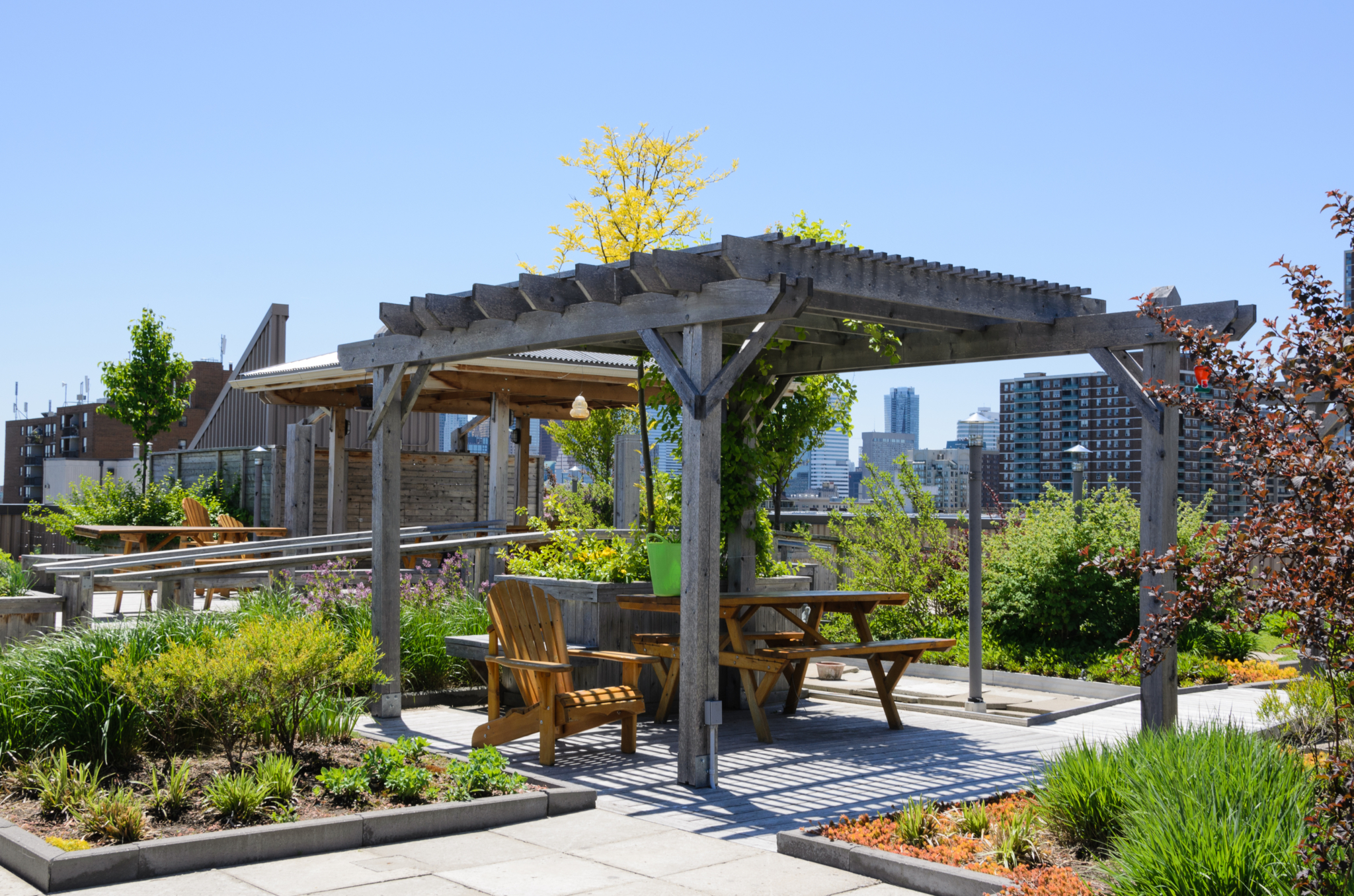 A rooftop garden with plants, trees, and chairs.