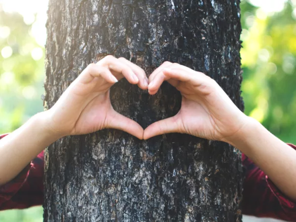 Arms reaching around from behind a tree. The hands create a heart shape.