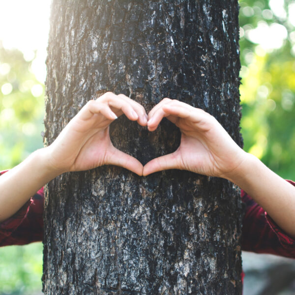Arms reaching around from behind a tree. The hands create a heart shape.