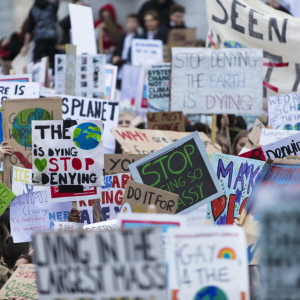 Collection of protest signs detailing the climate crisis and demands for action
