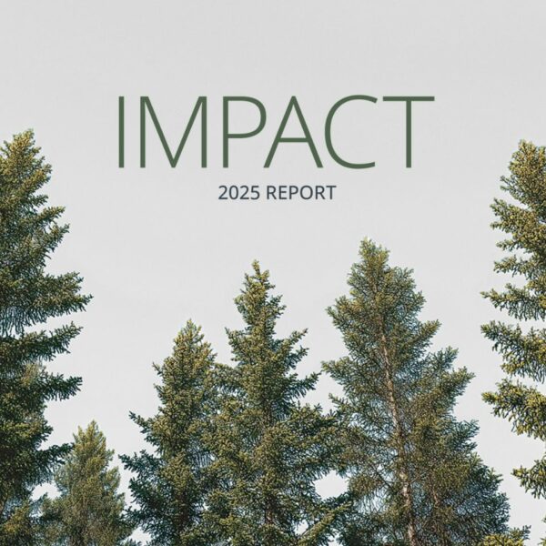 A tree image with the text "2025 Impact Report"
