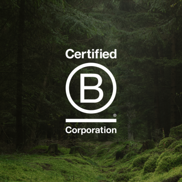 B Corp Logo on Forest