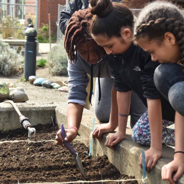 Children planting seeds